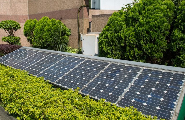 A building featuring solar panels, set against a vibrant green hedge in Jaipur, Rajasthan, highlighting solar energy use.